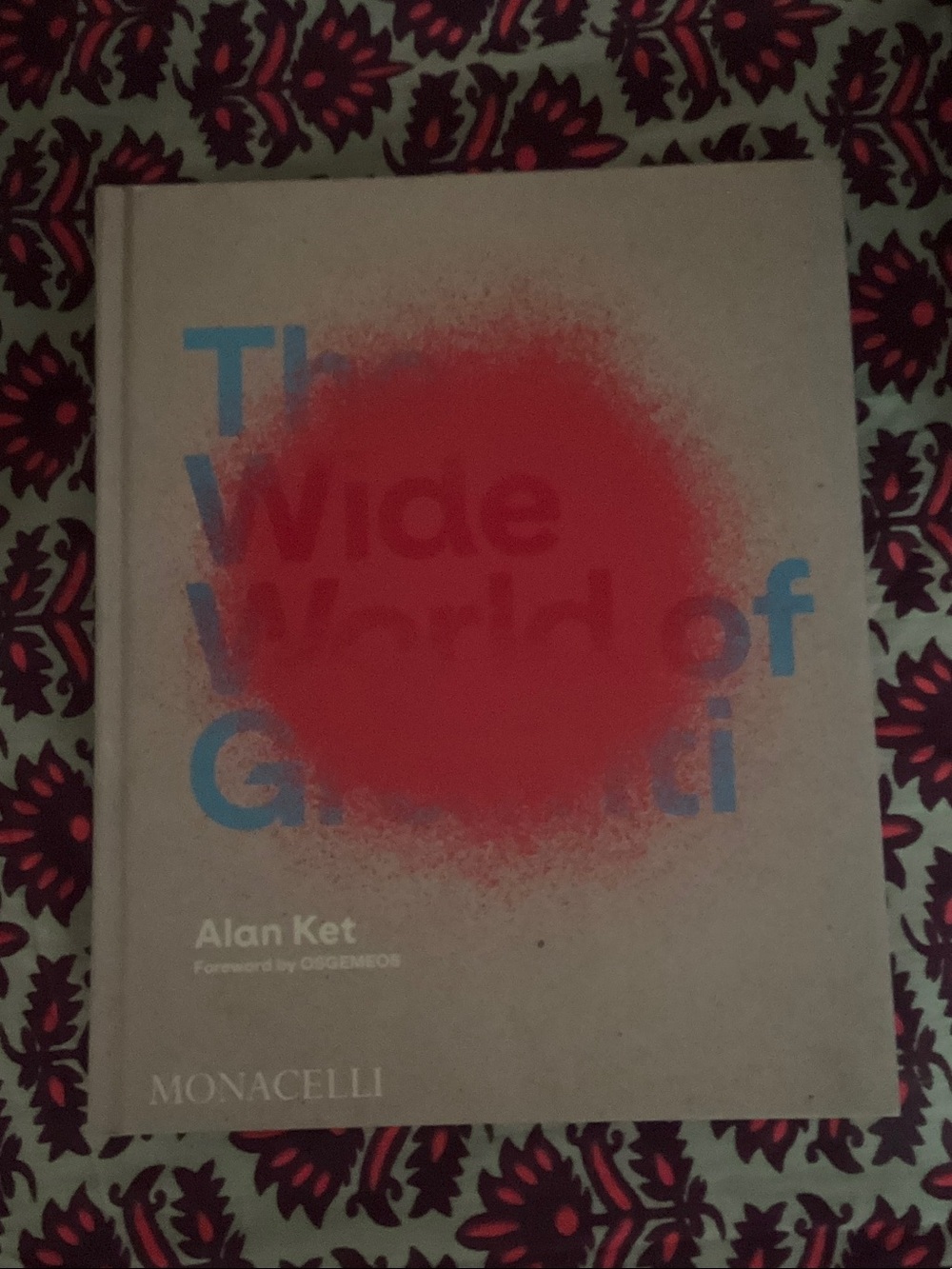 'The Wide World of Graffiti' Hardcover Book - Red Accent, Blue Text